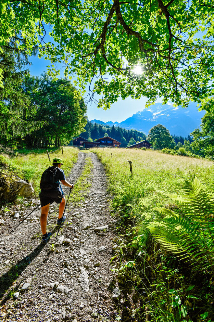 Randonnée aux chalets et à la Tête d'Armancette ©David Machet