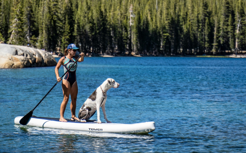 Image pour Paddle sur le lac de Passy