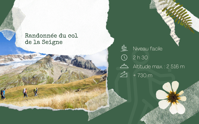 Image pour Randonnée au col de la Seigne