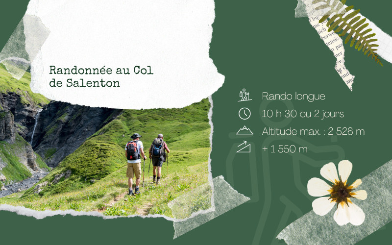 Image pour Randonnée au col de Salenton