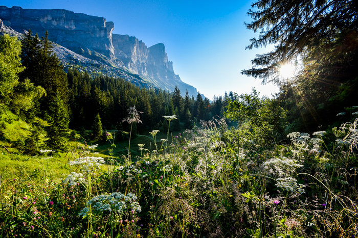 Randonnée au Dérochoir ©David Machet