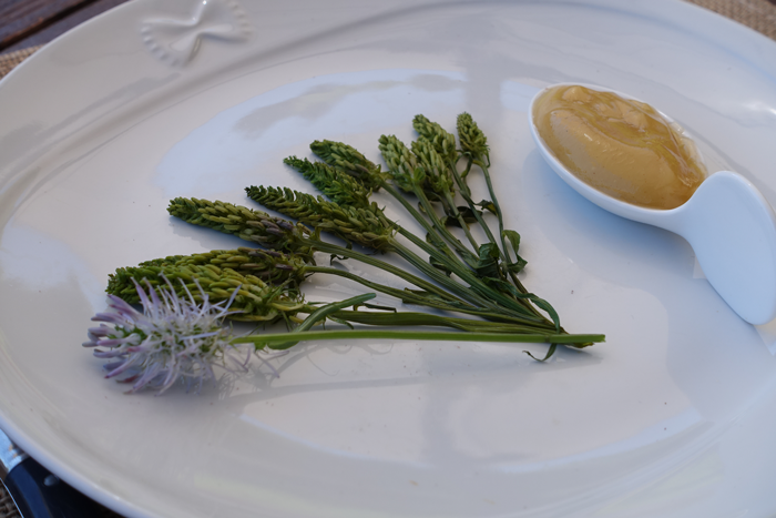 Les inflorescences de raiponce en épi façon asperge offrent une délicate entrée des menus printaniers. ©Isabelle Corbex / ATMB