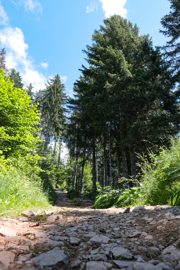 Randonnée au rocher du Roux ©Julien Dorol