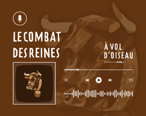 Les combats des reines