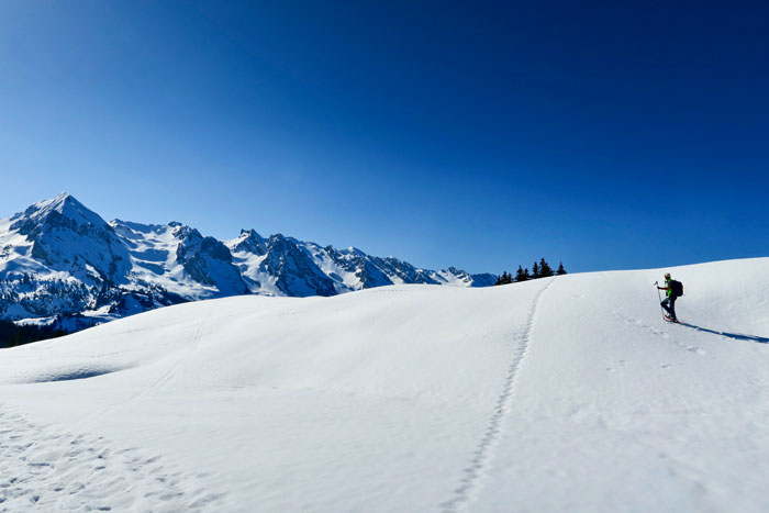 Randonnée des Alpages du Crot et du Char depuis la Duche©Sandra Stavo-Debauge